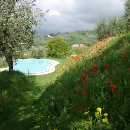 Superb Ponente Studio بستويا